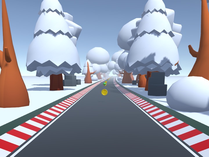 Winter track